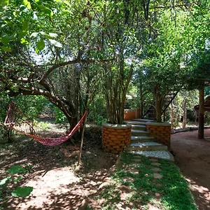 Lodge The Thick Forest Sigirîya